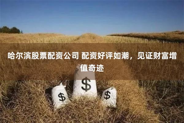 哈尔滨股票配资公司 配资好评如潮，见证财富增值奇迹