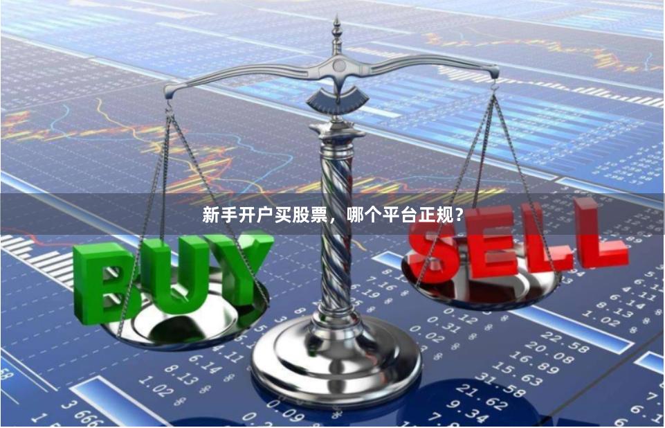 新手开户买股票，哪个平台正规？