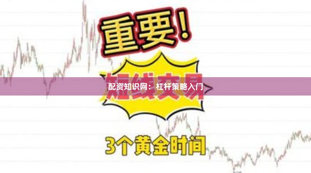 配资知识网：杠杆策略入门